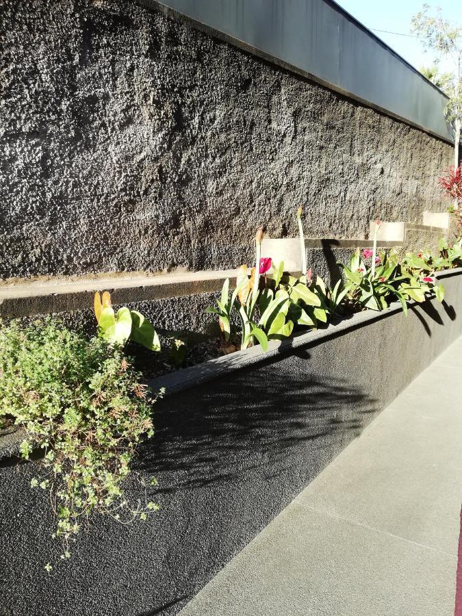 Hotel Fx Carvalhal Funchal  Zewnętrze zdjęcie